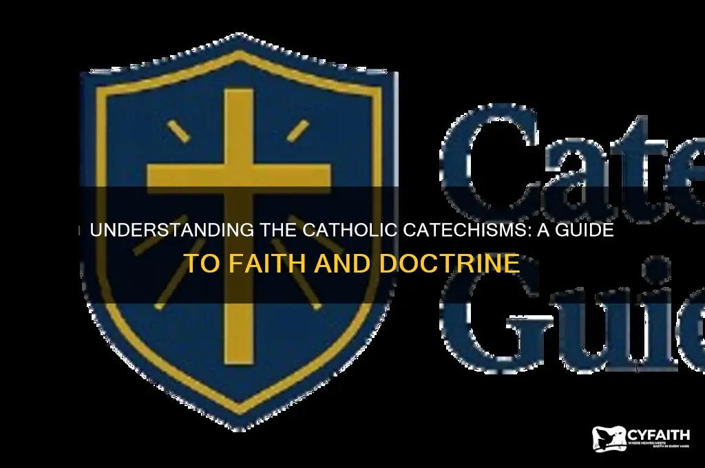 what are the catholic catechisms
