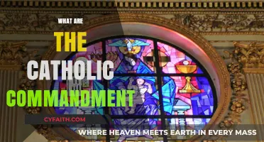 Understanding the Sacred: Exploring the Catholic Commandments and Their Meaning
