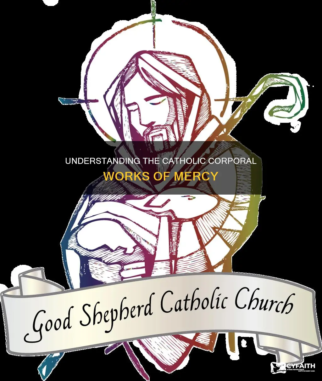 what are the catholic corporal works of mercy