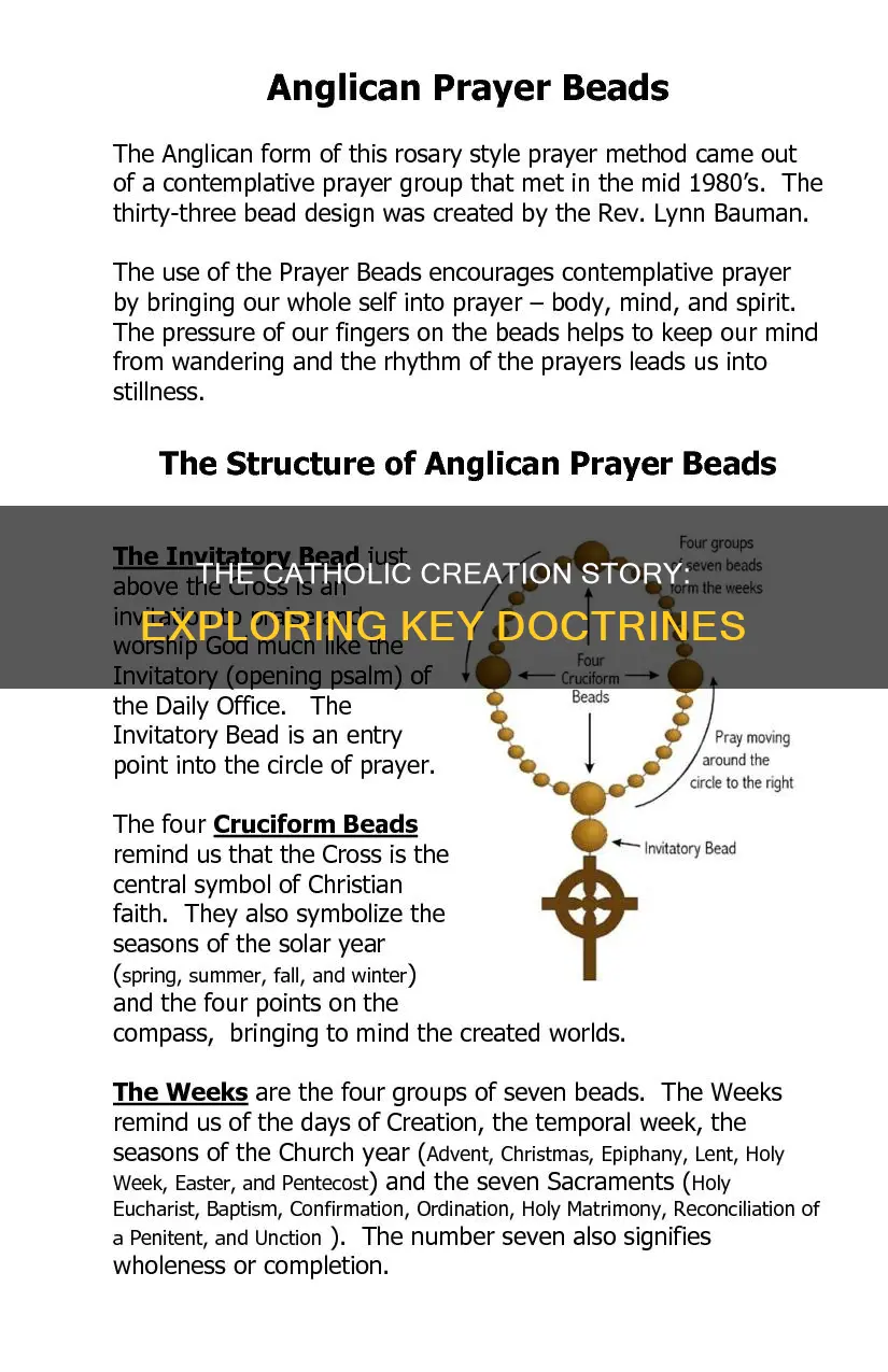what are the catholic doctrines of creation