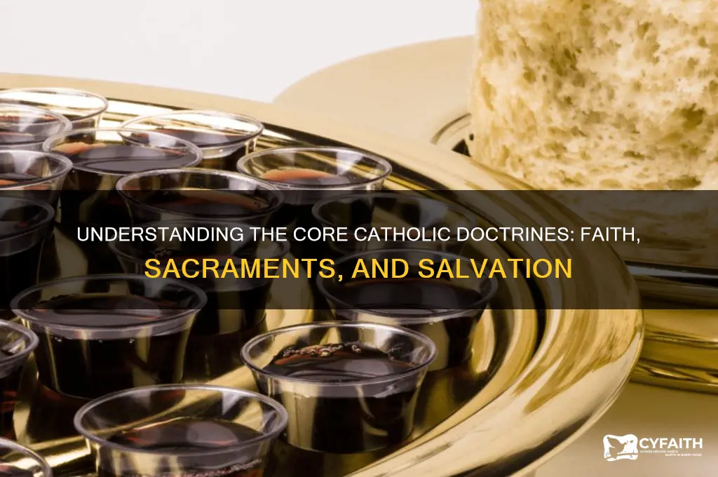 what are the catholic doctrines