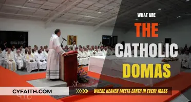 Understanding the Catholic Domas: Traditions, Significance, and Modern Practices