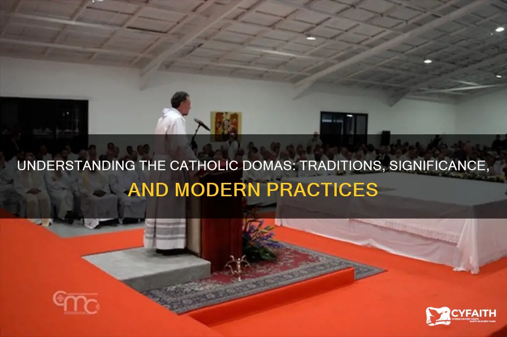 what are the catholic domas
