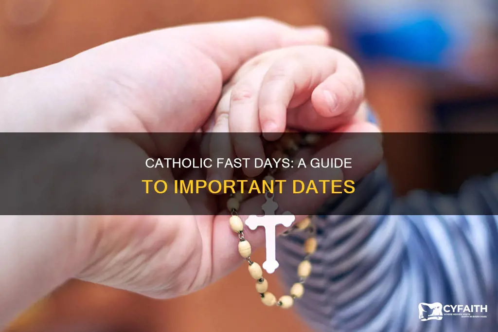 what are the catholic fast days