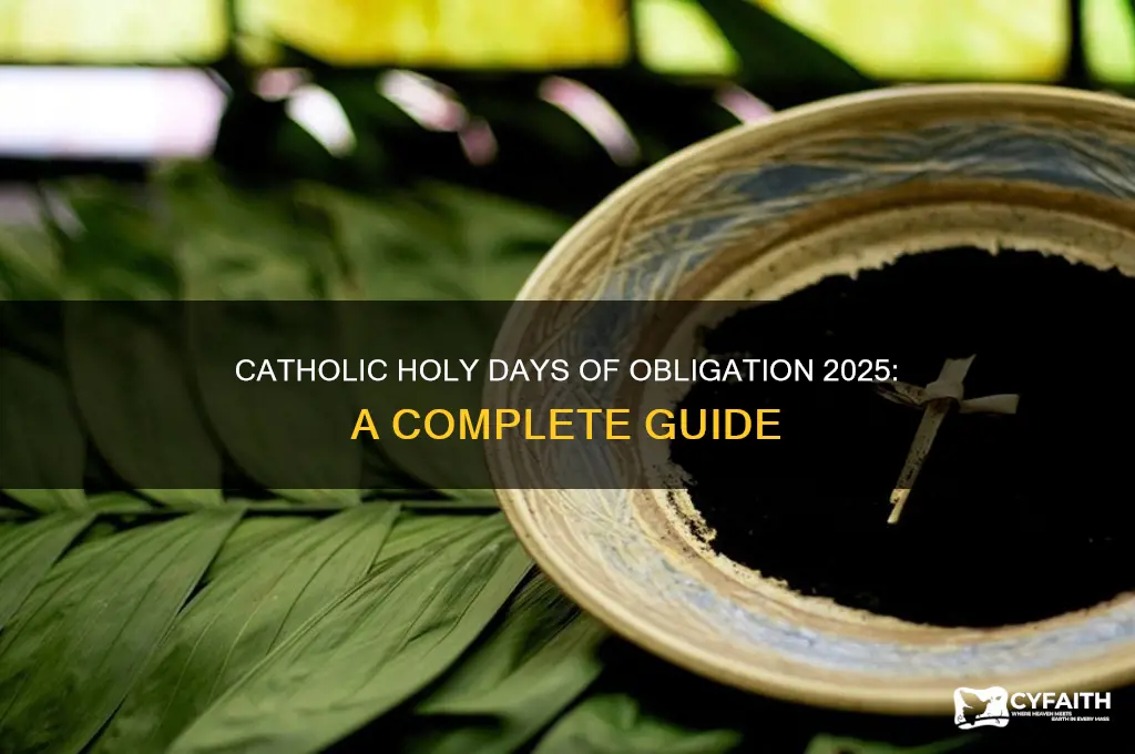 what are the catholic holy days of obligation 2025