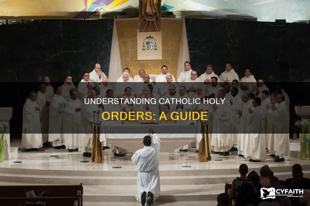 what are the catholic holy orders