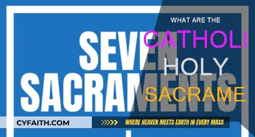 Catholic Holy Sacraments: A Guide to the Seven Sacred Rites