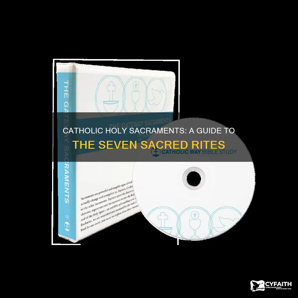 what are the catholic holy sacraments