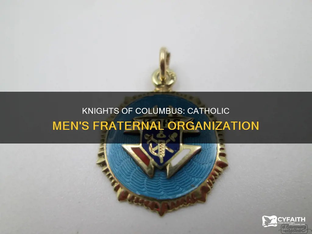 what are the catholic knights of columbus