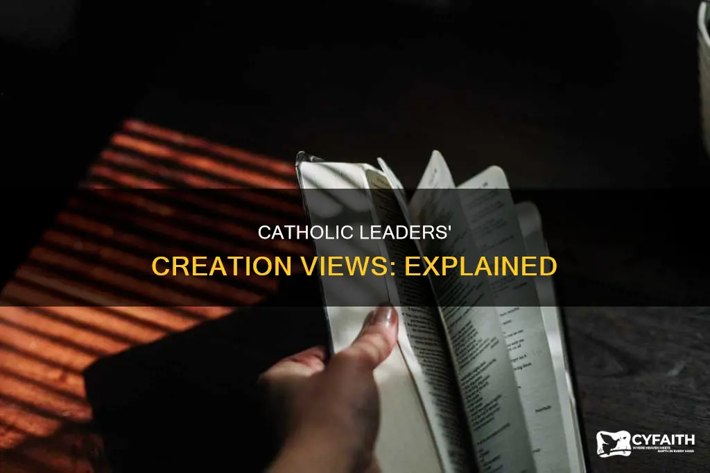 what are the catholic leaders view on creation