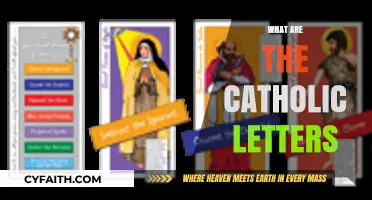 Understanding the Catholic Letters: A Guide to Their Meaning and Purpose