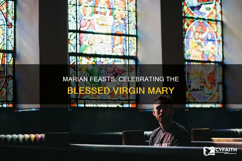 what are the catholic marian feasts