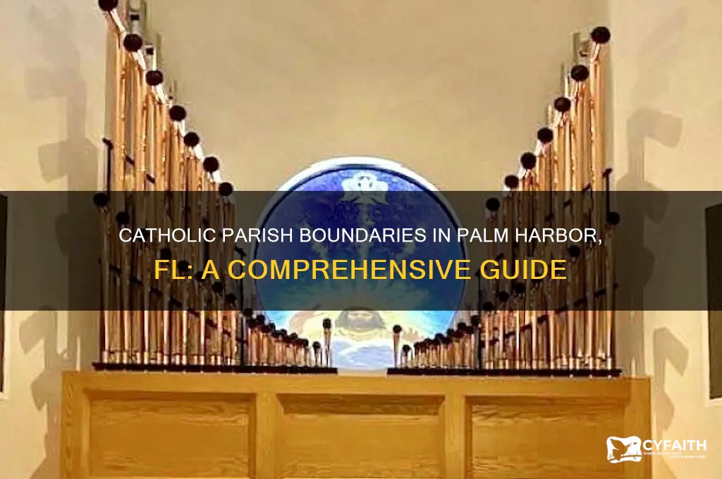 what are the catholic parish boundaries in palm harbor fl