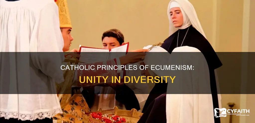 what are the catholic principles of ecumenism