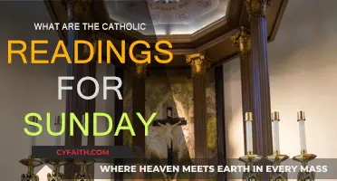 Sunday Catholic Readings: Scripture and Reflection