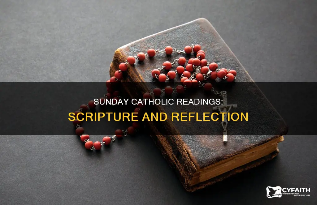 what are the catholic readings for sunday