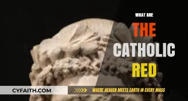 Understanding the Catholic Red: Symbolism, Traditions, and Significance Explained