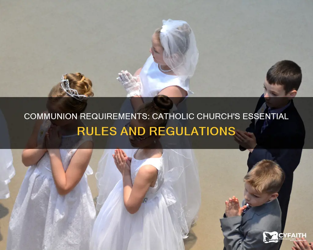 what are the catholic requirements for communion