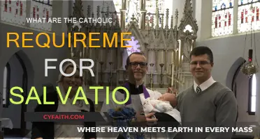 Salvation Requirements: Catholic Church's Essential Guide