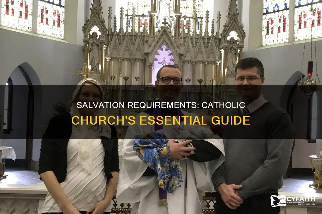 what are the catholic requirements for salvation