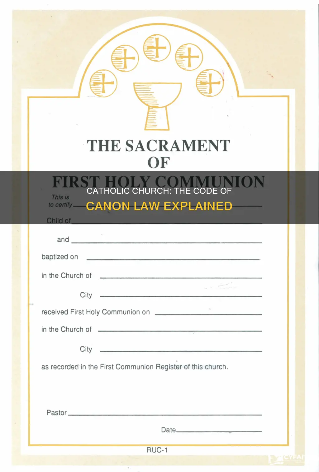 what are the catholic ruling documents