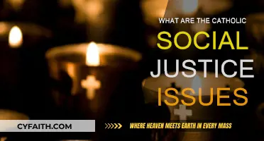 Catholic Social Justice: Key Issues and Principles