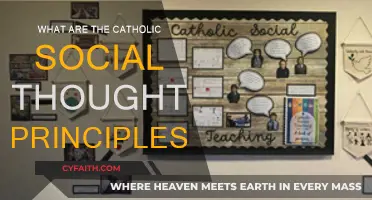 Catholic Social Teaching: Principles for a Just World