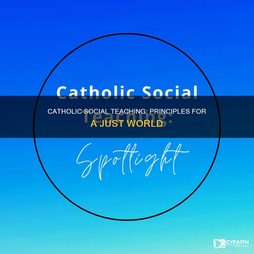 what are the catholic social thought principles
