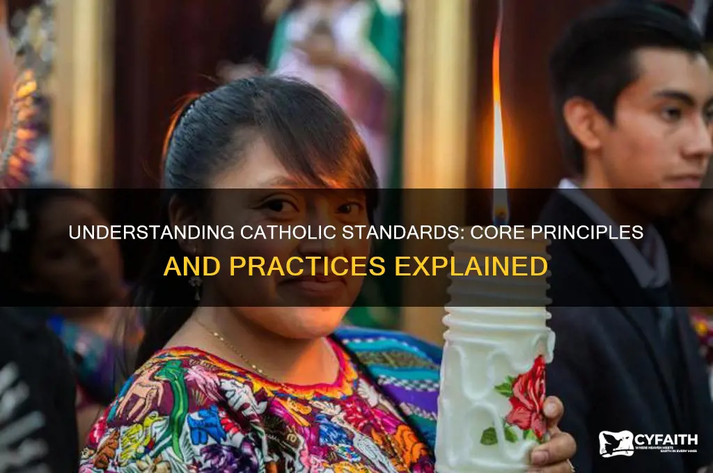 what are the catholic standards
