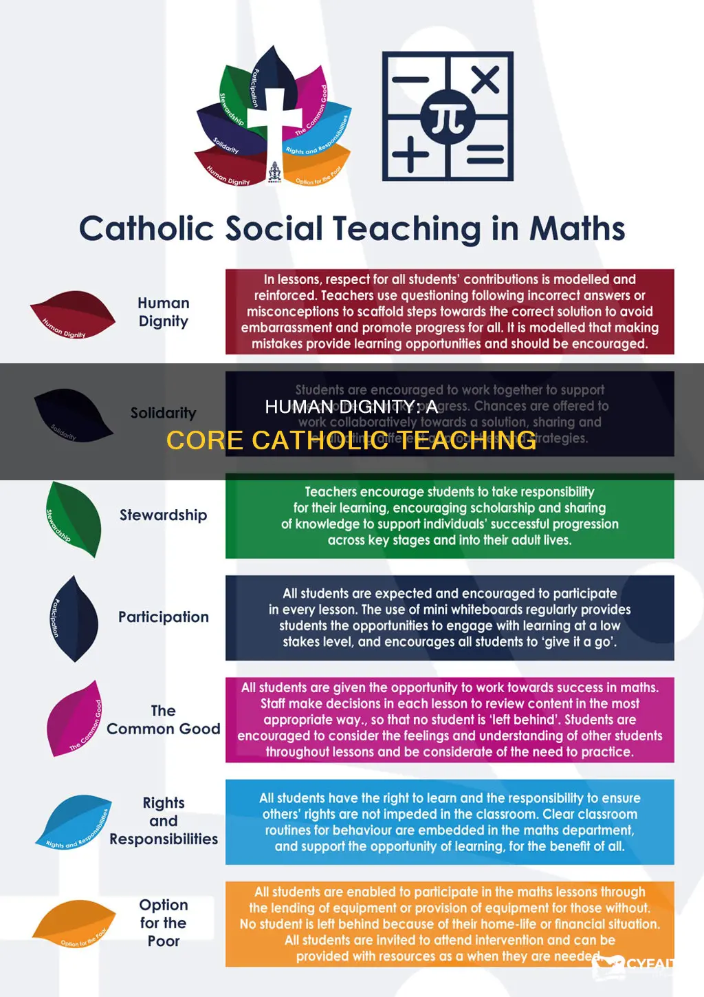 what are the catholic teachings on human dignity