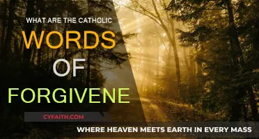 The Power of Catholic Forgiveness