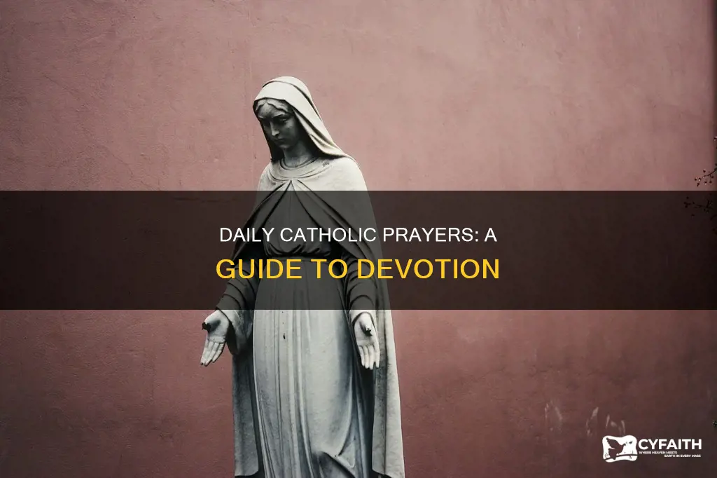what are the daily catholic prayers