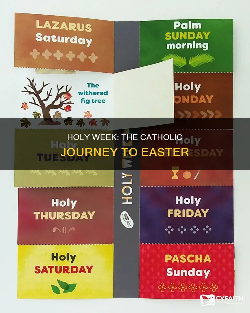what are the days of holy week catholic