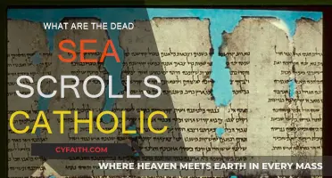 Catholic Dead Sea Scrolls: Ancient Texts, Modern Faith