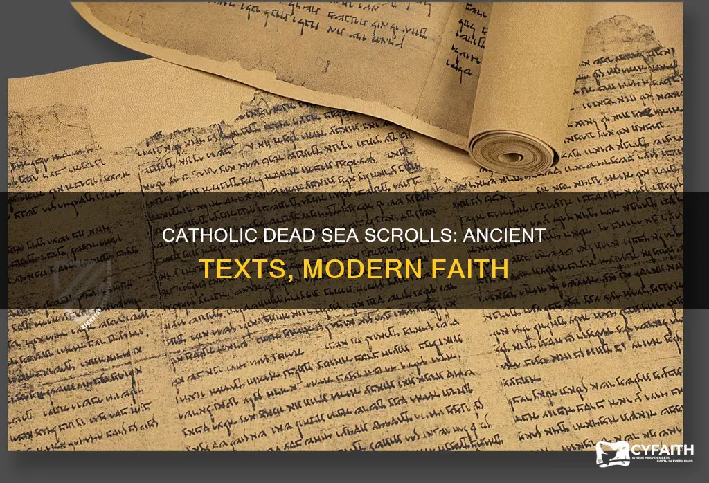 what are the dead sea scrolls catholic