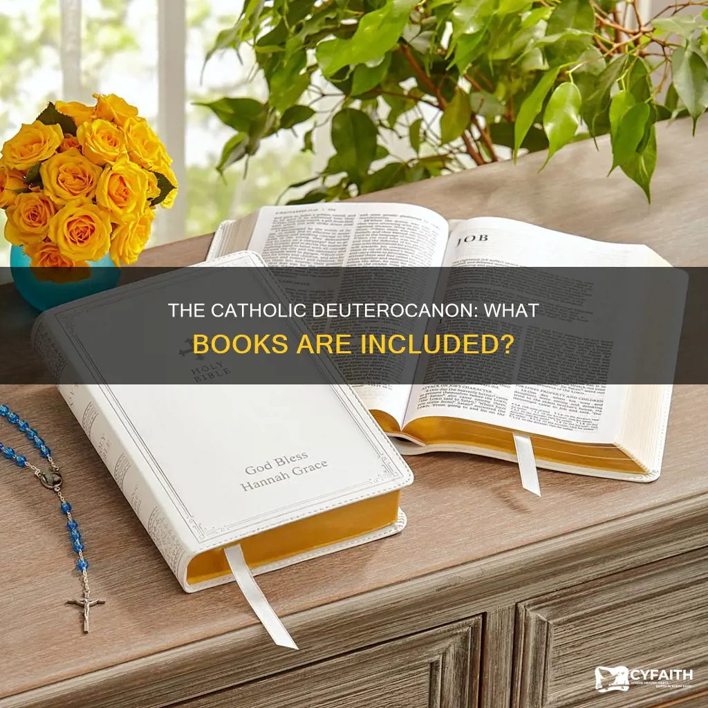 what are the deuterocanonical books catholic