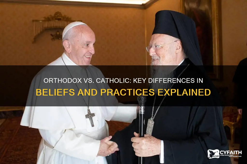 what are the difference between orthodox and catholic religion