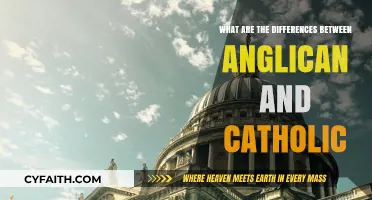 Anglican vs. Catholic: Key Differences in Beliefs and Practices