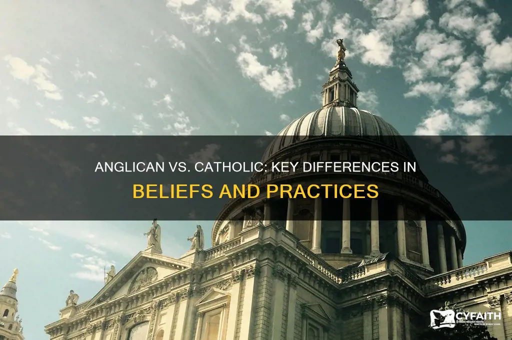 what are the differences between anglican and catholic