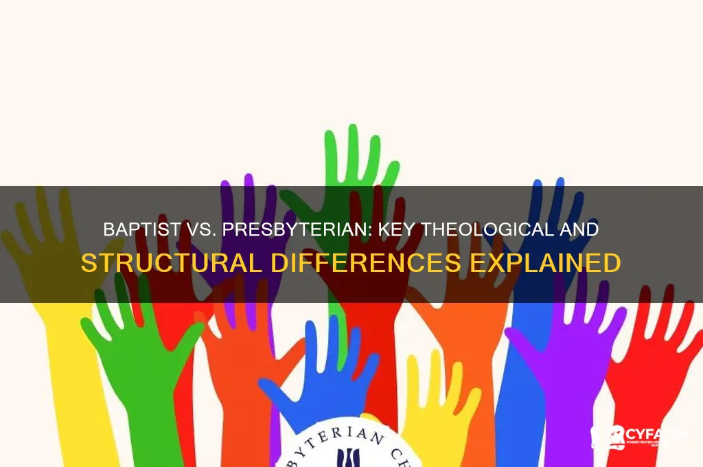 what are the differences between baptist and presbyterian faiths