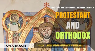 Catholic, Protestant, Orthodox: Key Theological and Practical Differences Explained