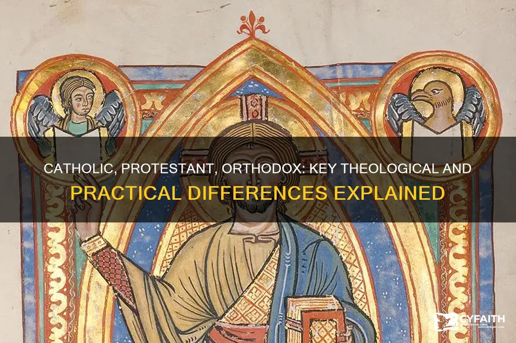 what are the differences between catholic protestant and orthodox