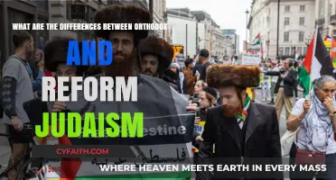 Orthodox vs. Reform Judaism: Key Beliefs, Practices, and Differences Explained