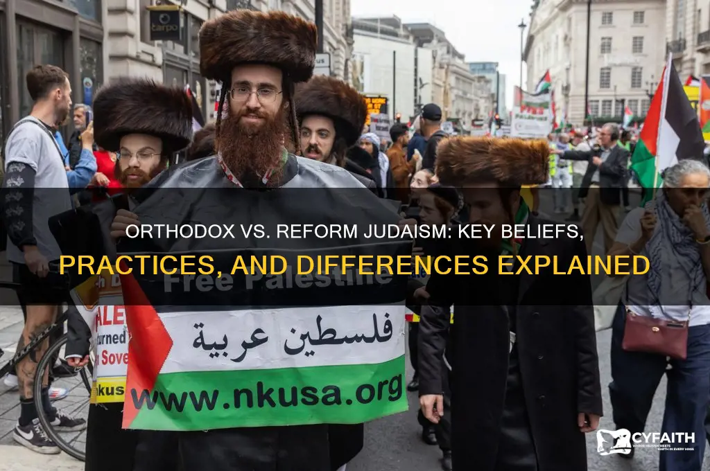 what are the differences between orthodox and reform judaism