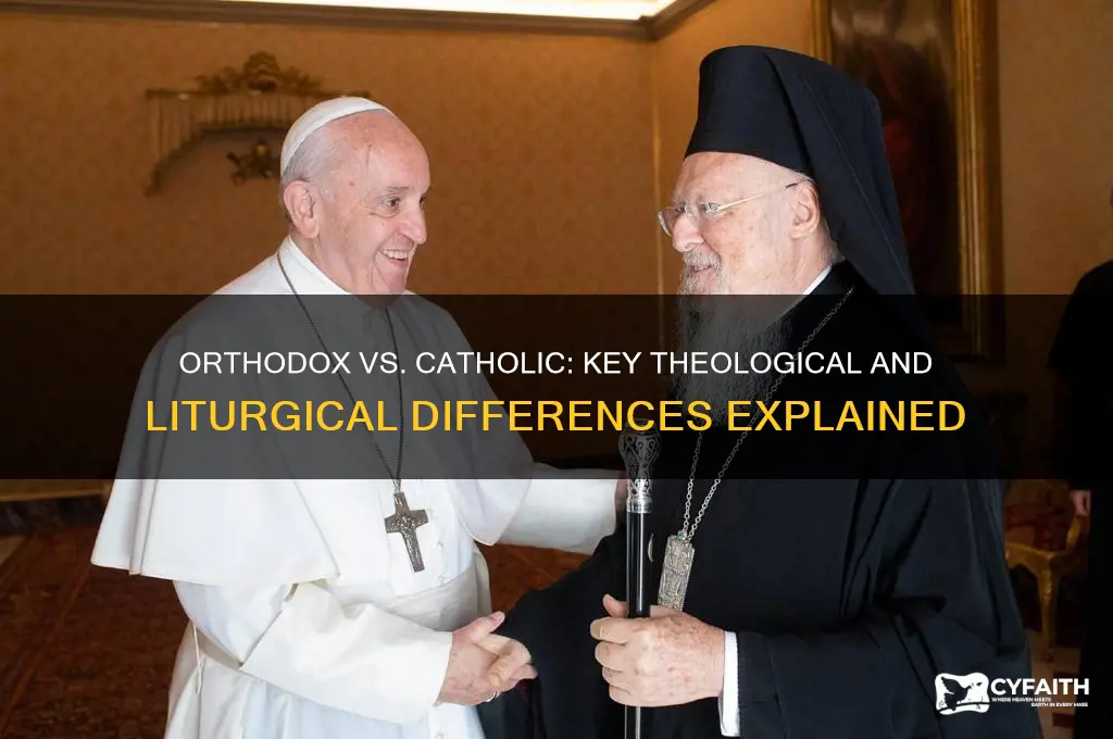 what are the differences between orthodox christianity and roman catholicism