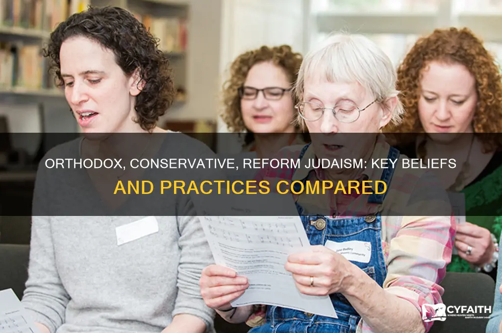 what are the differences between orthodox conservative and reform judaism