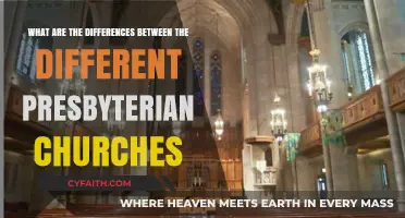 Exploring Distinct Beliefs and Practices Among Presbyterian Denominations