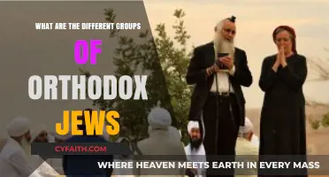 Understanding Orthodox Judaism: Exploring the Diverse Groups and Traditions