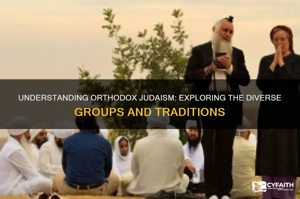 what are the different groups of orthodox jews