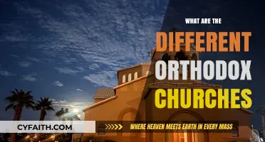 Exploring the Rich Diversity of Orthodox Churches Worldwide